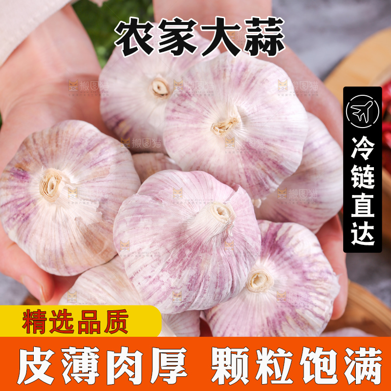 深底上的干大蒜