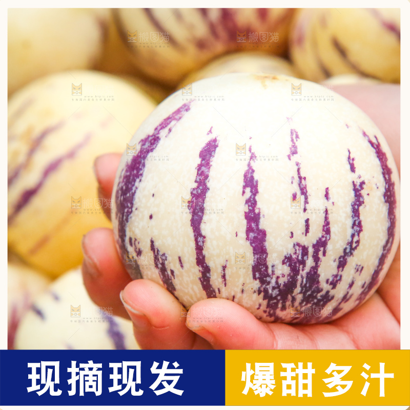 手里拿着人参果