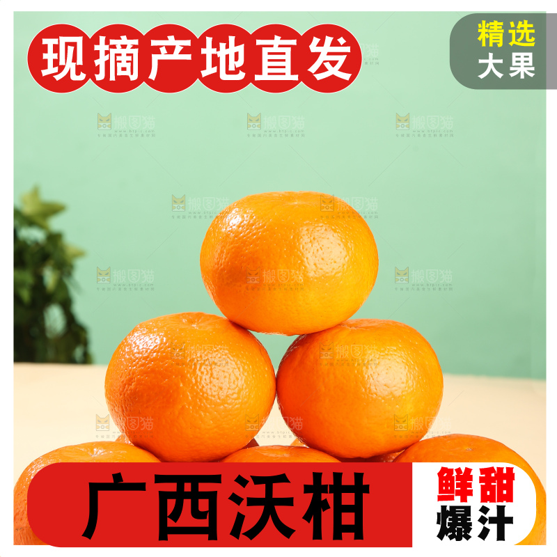 浅底上的武鸣沃柑