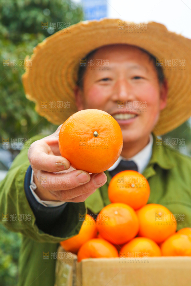 手里拿着武鸣沃柑