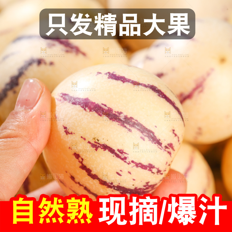 浅底上的人参果
