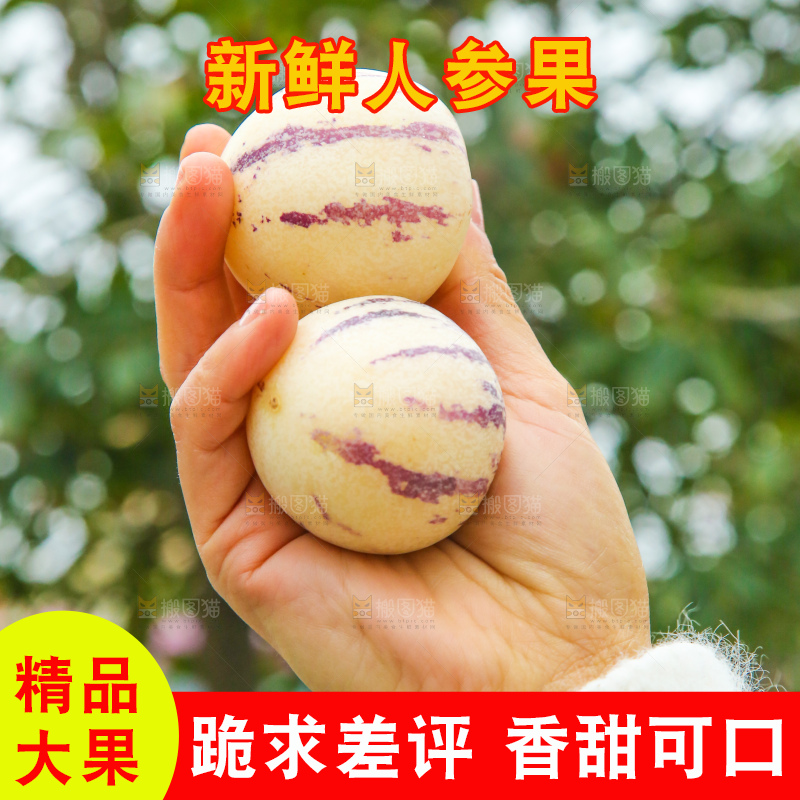 手里拿着人参果