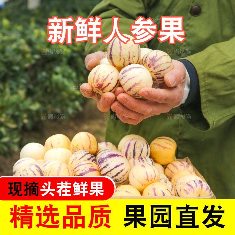 手里拿着人参果