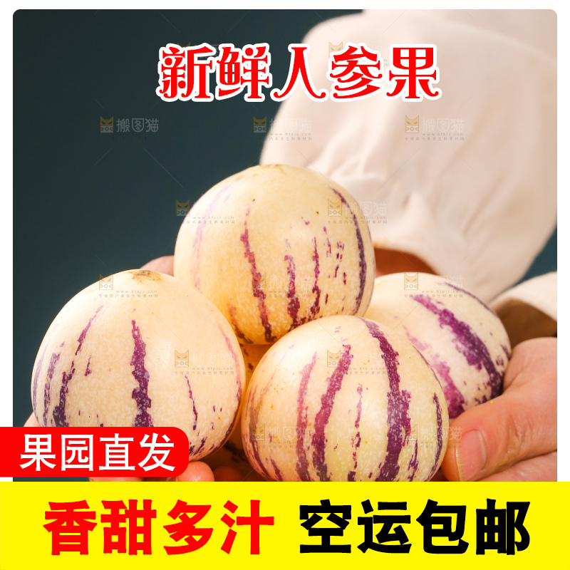 浅底上的人参果