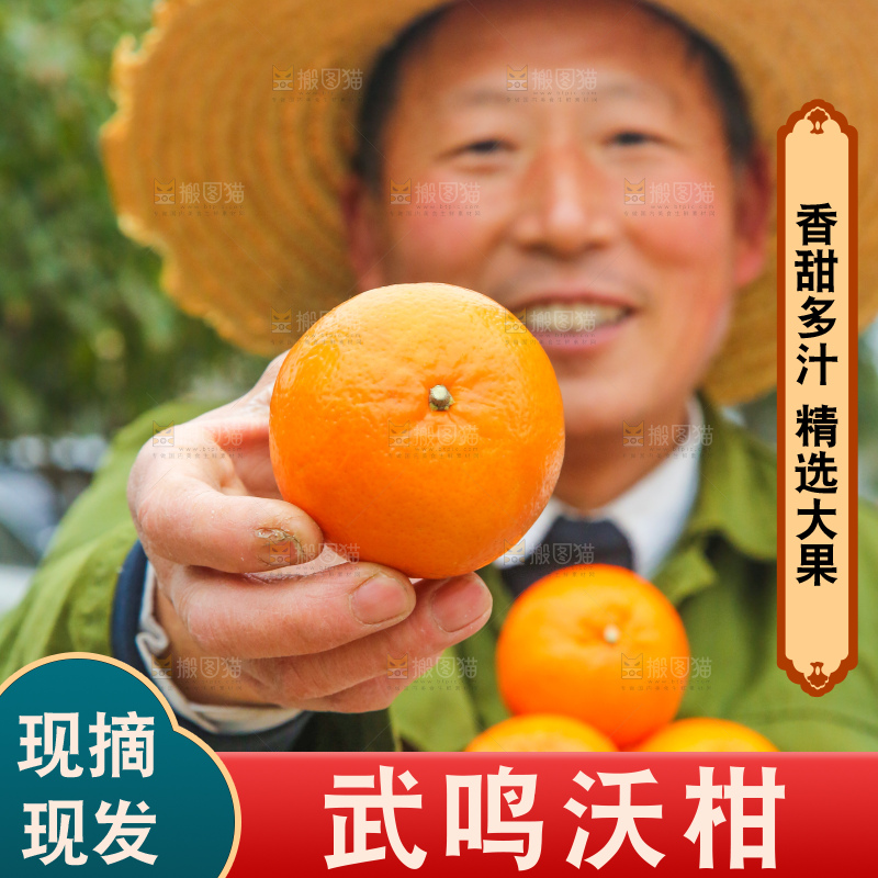 手里拿着武鸣沃柑