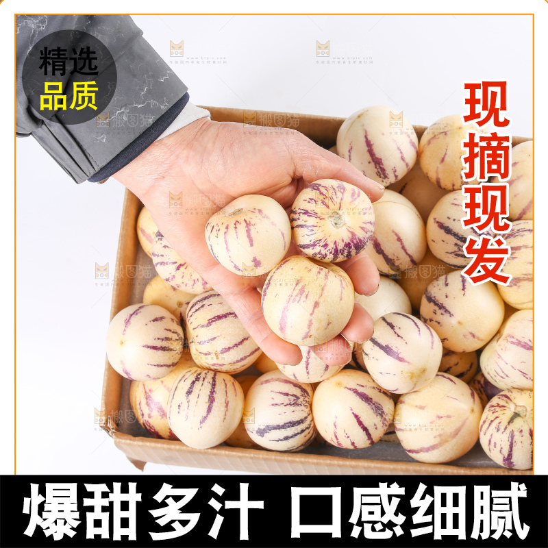 手里拿着人参果