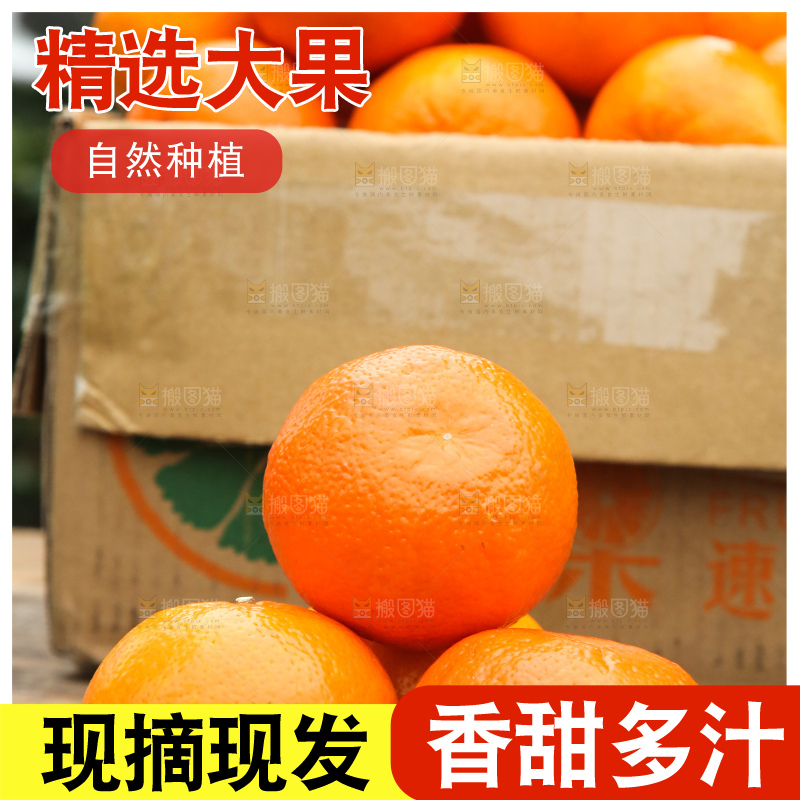 手里拿着武鸣沃柑