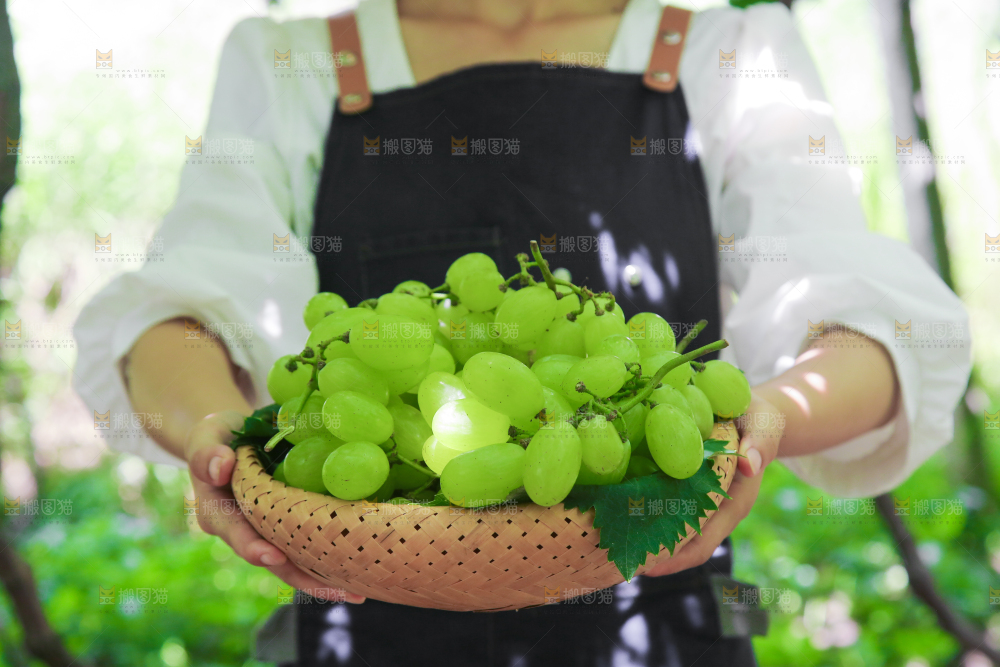 手里拿着青提