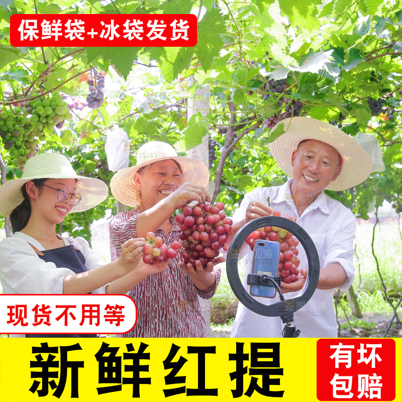 手里拿着新鲜葡萄