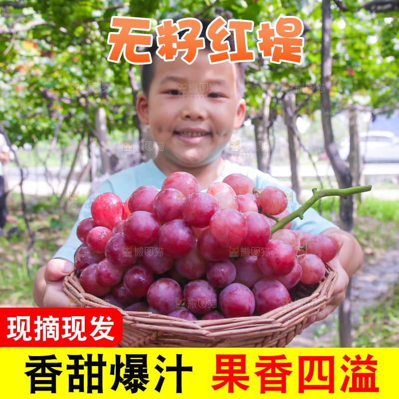 手里拿着新鲜葡萄