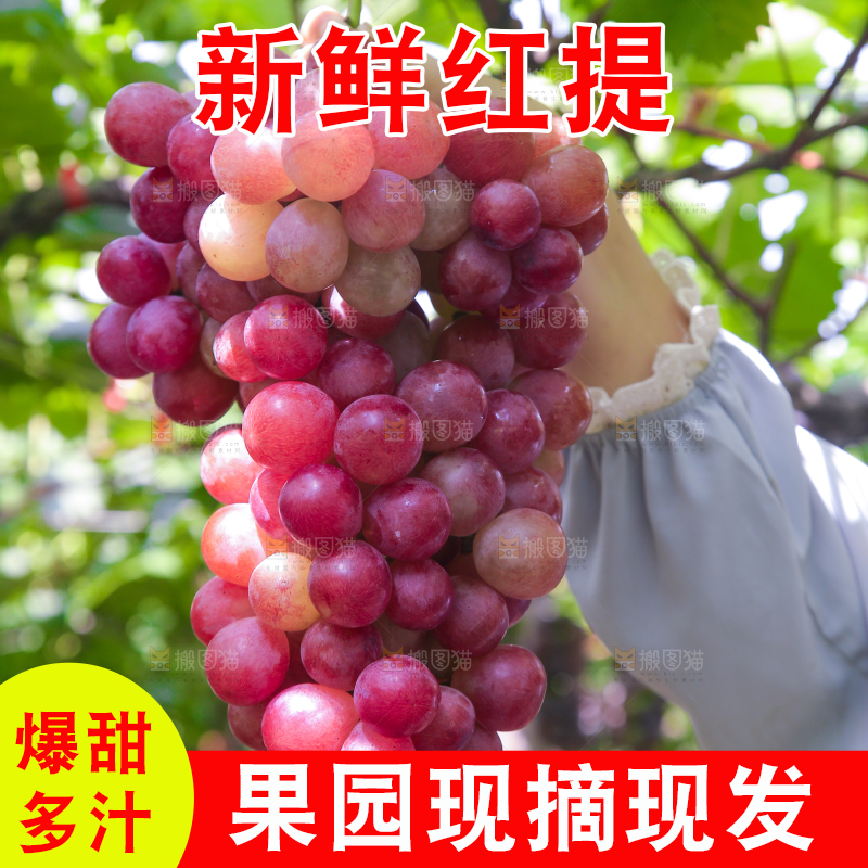 手里拿着新鲜葡萄