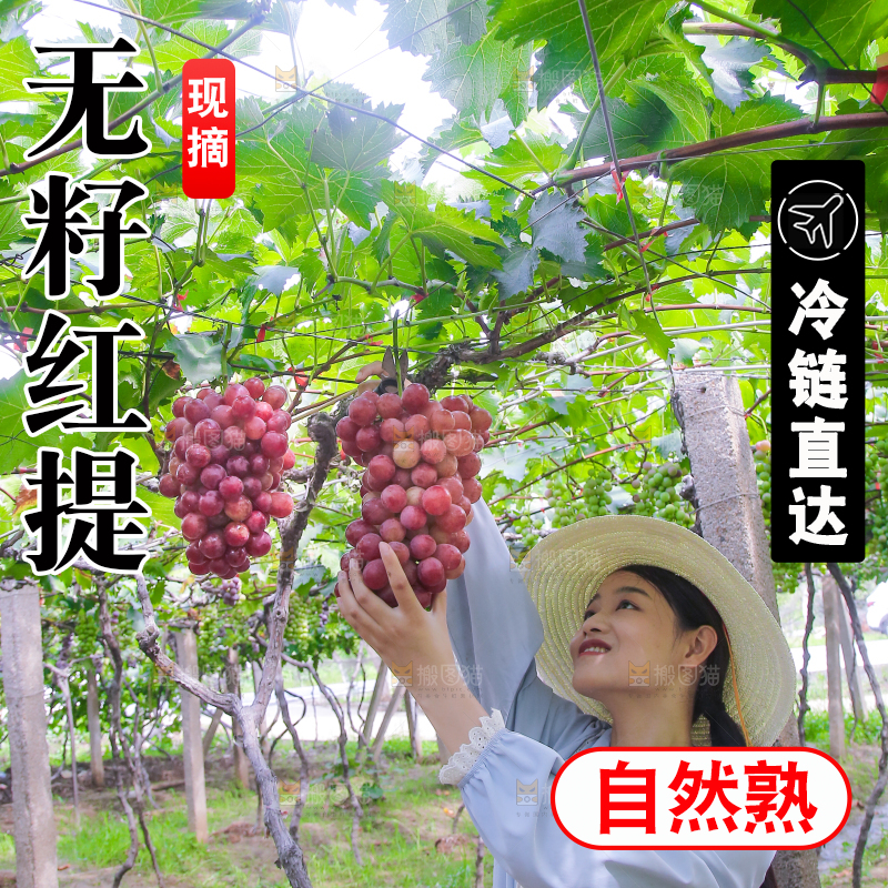手里拿着新鲜葡萄