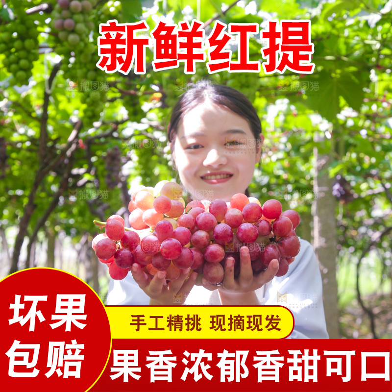 手里拿着新鲜葡萄