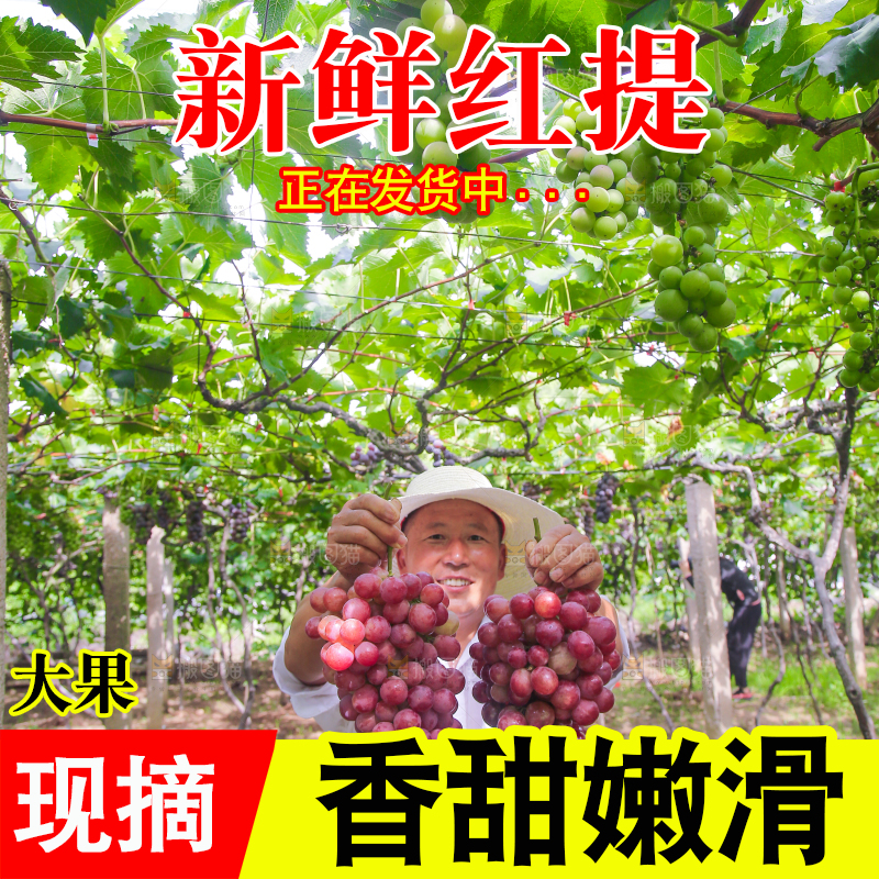 手里拿着新鲜葡萄