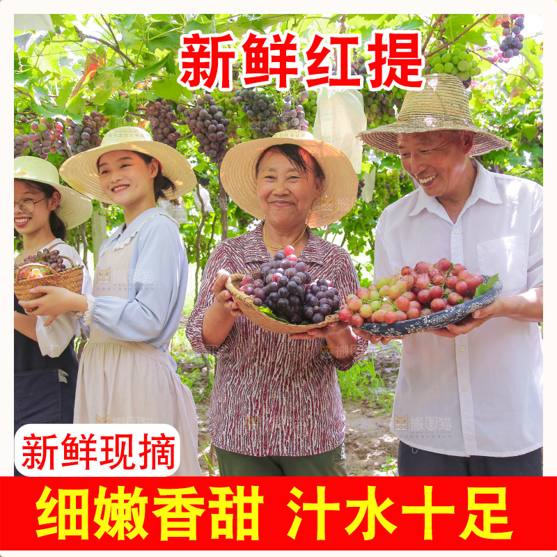 手里拿着新鲜葡萄