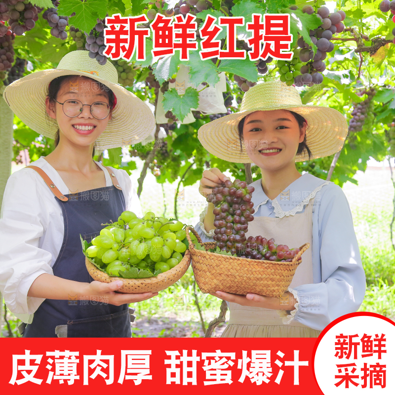 手里拿着新鲜葡萄