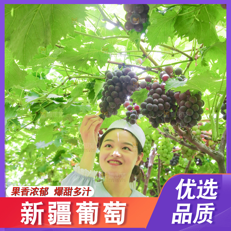 手里拿着新鲜紫葡萄