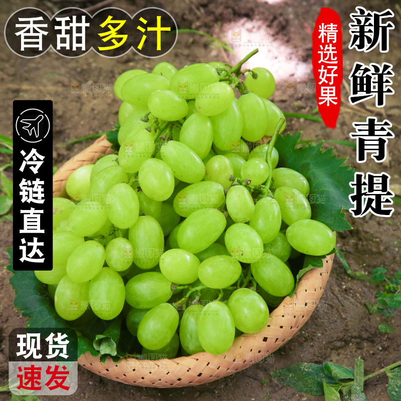 手里拿着青提