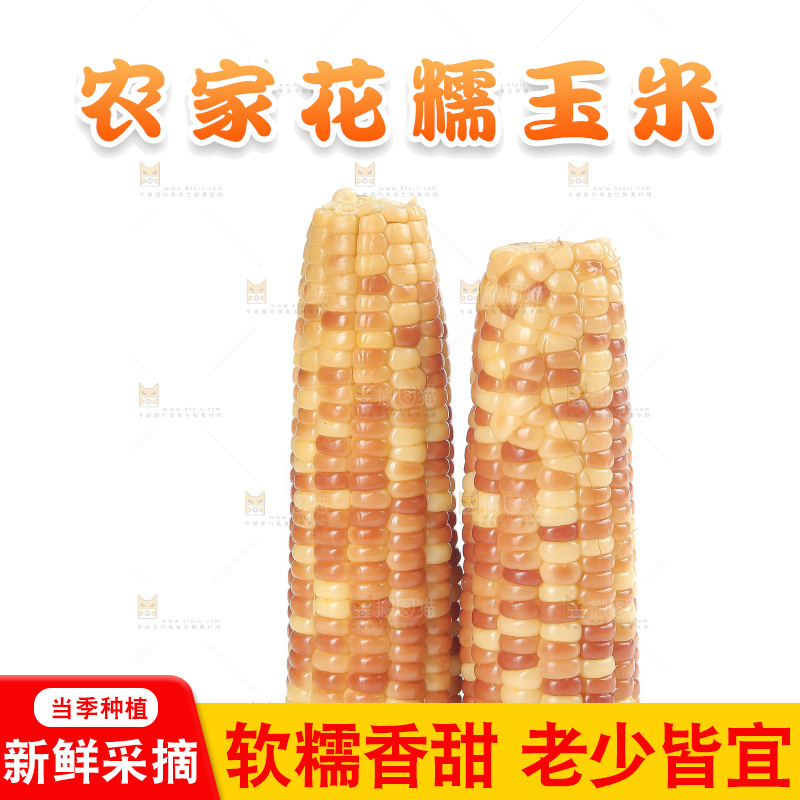 白底上的花糯玉米