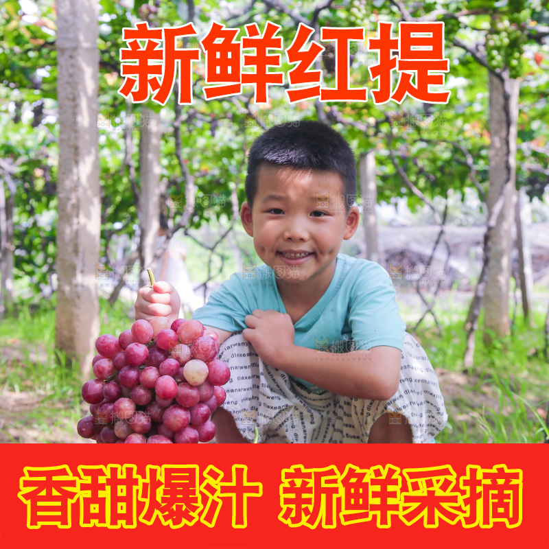 手里拿着新鲜葡萄