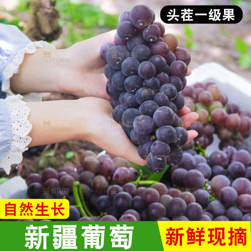 手里拿着新鲜紫葡萄