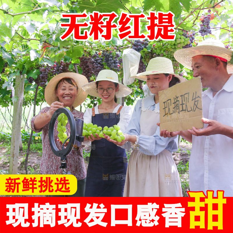 手里拿着新鲜葡萄