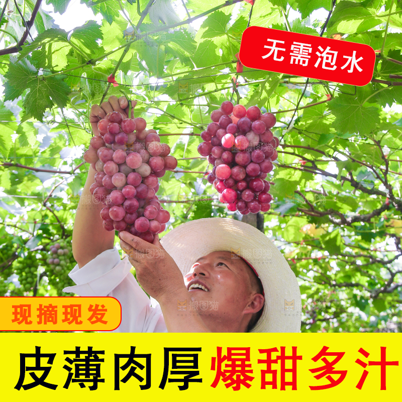 手里拿着新鲜葡萄