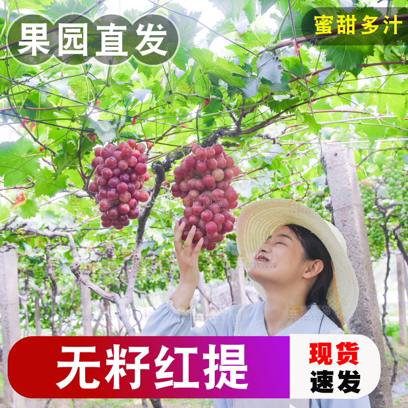 手里拿着新鲜葡萄