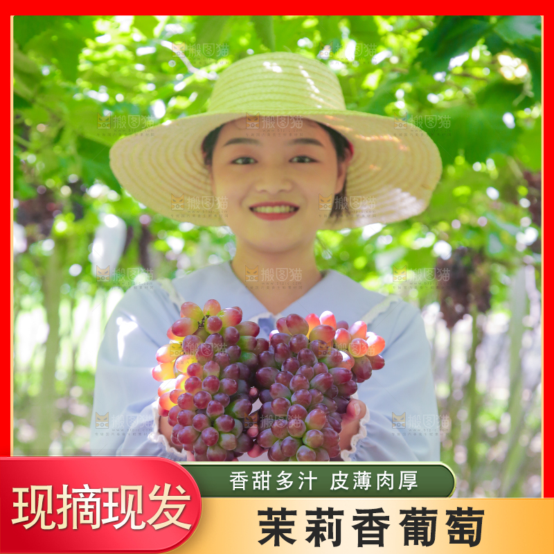 手里拿着茉莉香葡萄