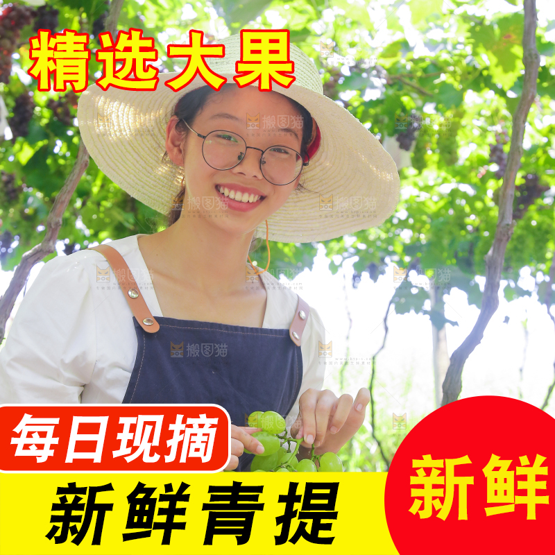 手里拿着青提