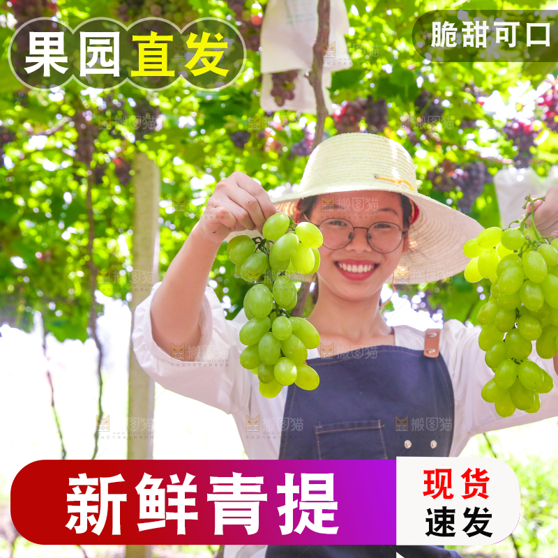 手里拿着青提
