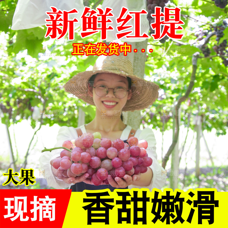 手里拿着新鲜葡萄