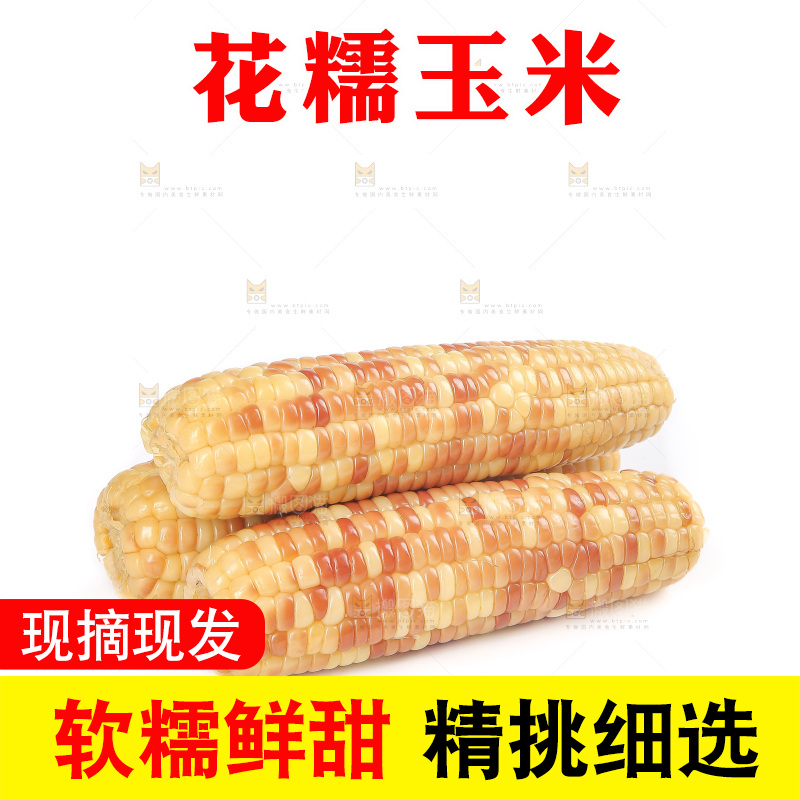 白底上的花糯玉米