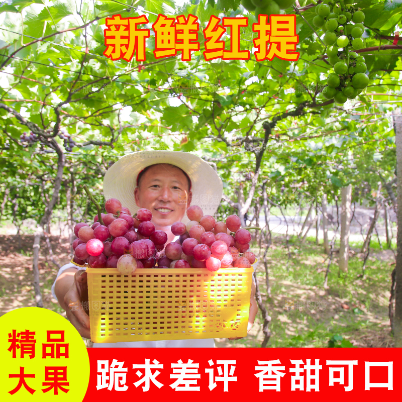 手里拿着新鲜葡萄