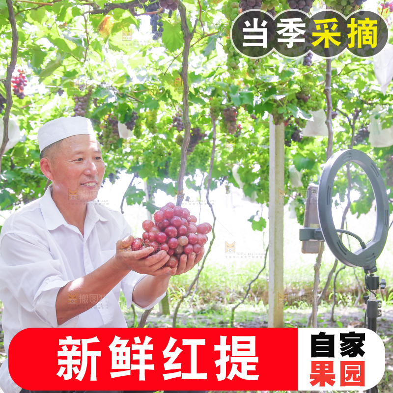 手里拿着新鲜葡萄