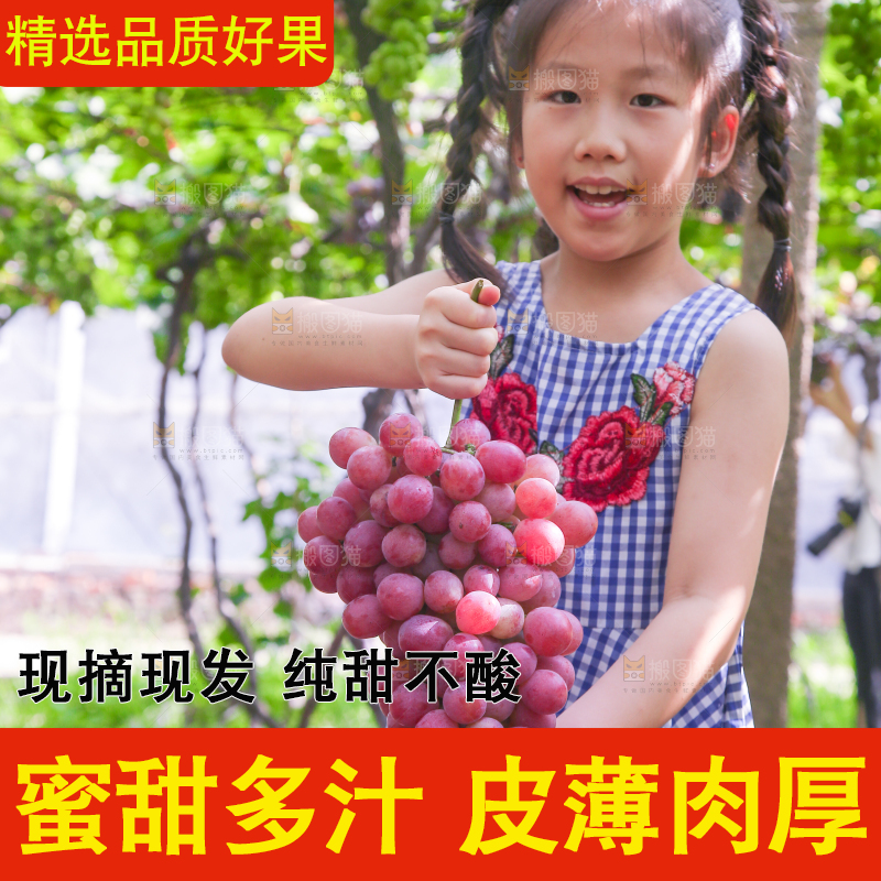 手里拿着新鲜葡萄
