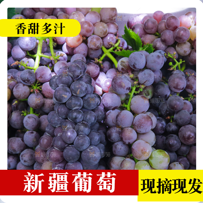 手里拿着新鲜紫葡萄