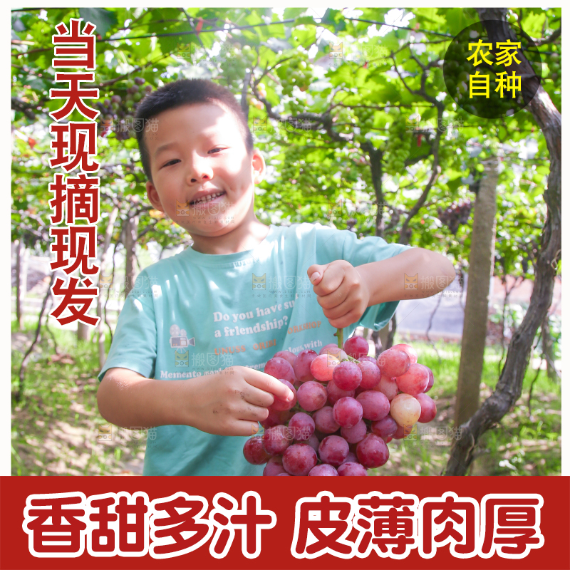 手里拿着新鲜葡萄