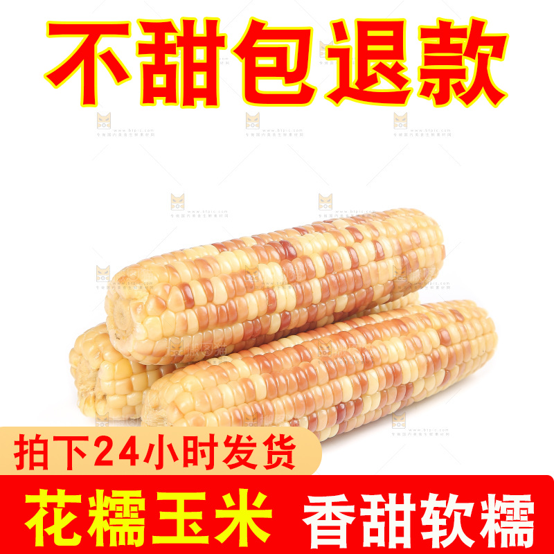白底上的花糯玉米