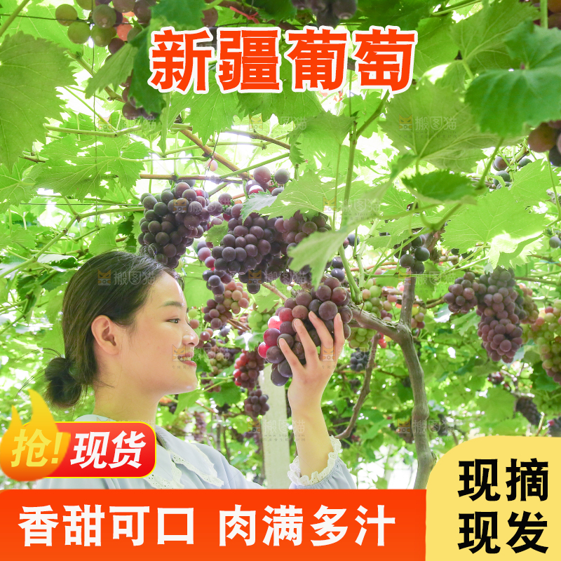 手里拿着新鲜紫葡萄