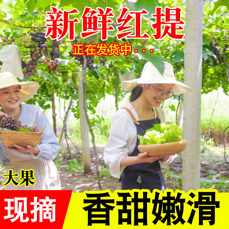手里拿着新鲜葡萄