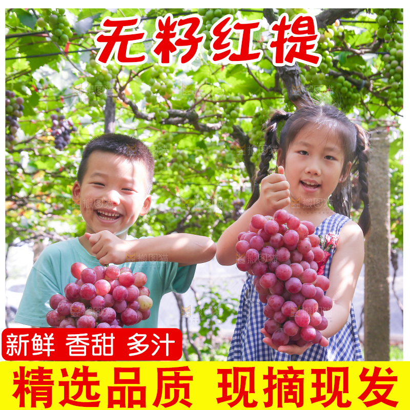 手里拿着新鲜葡萄