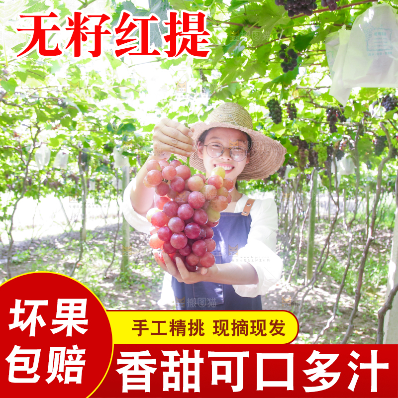 手里拿着新鲜葡萄
