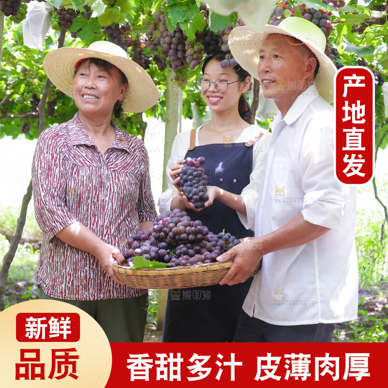 手里拿着新鲜紫葡萄