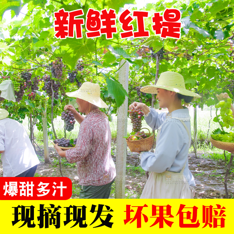 手里拿着新鲜葡萄