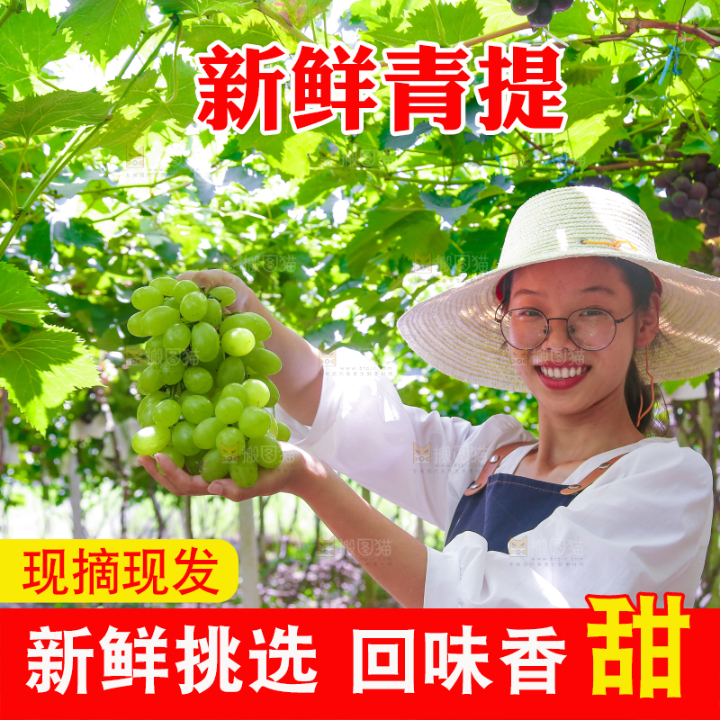 手里拿着青提