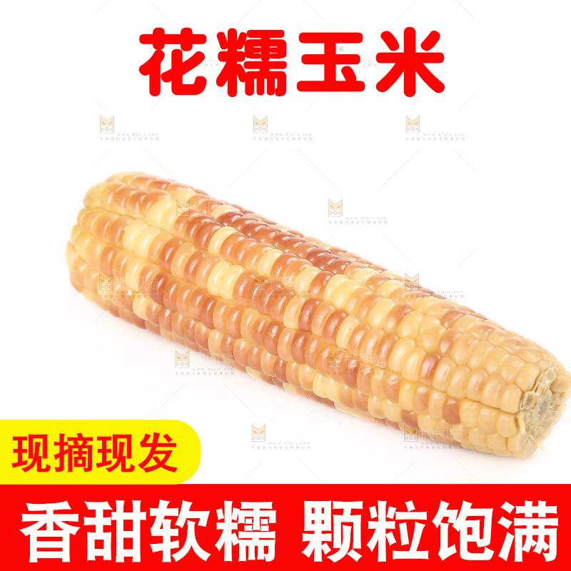 白底上的花糯玉米