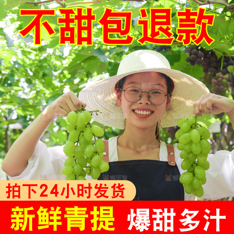 手里拿着青提