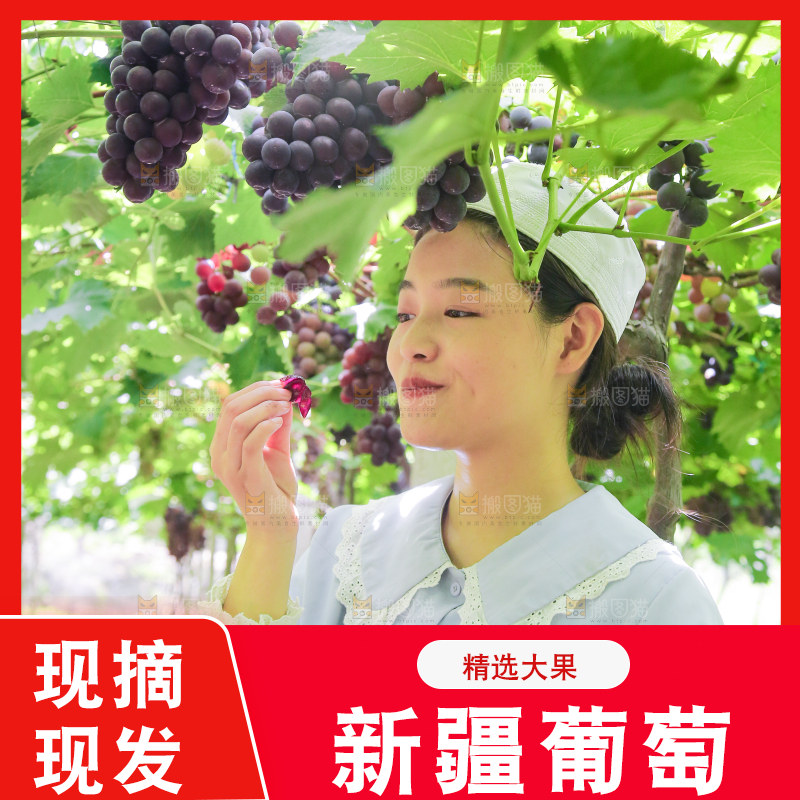 手里拿着新鲜紫葡萄