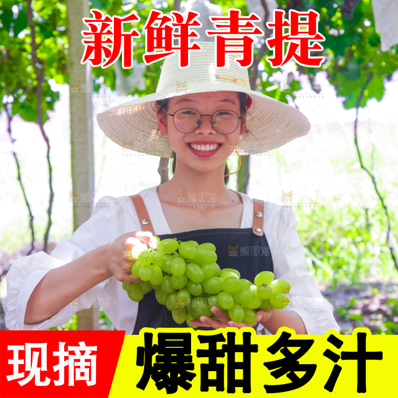 手里拿着青提